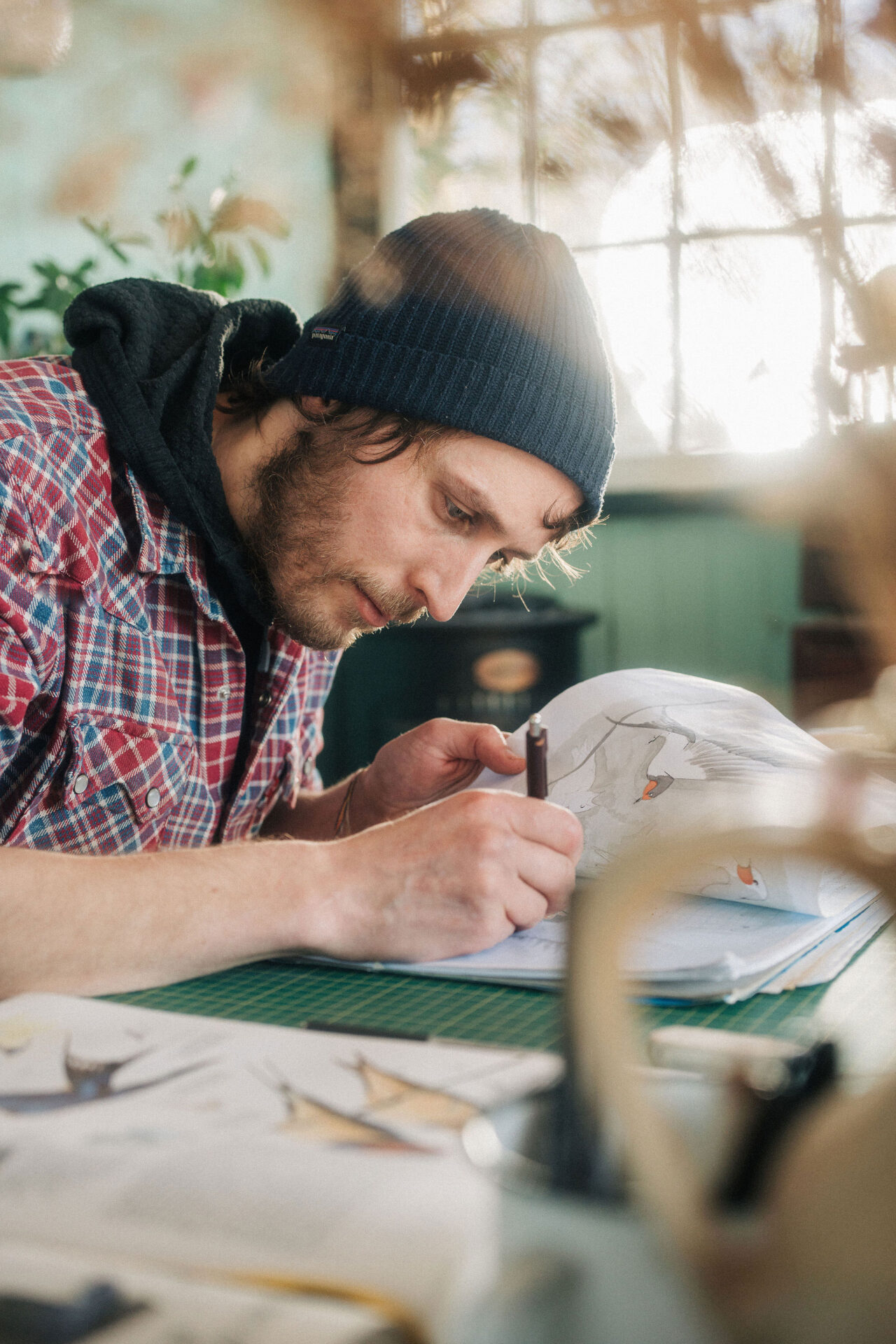 Artist sketching barn swallows at a desk in the studio.