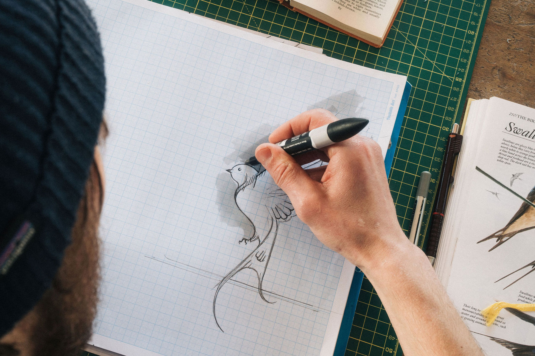 Overhead photo of an artist drawing barn swallow wings with a pen.