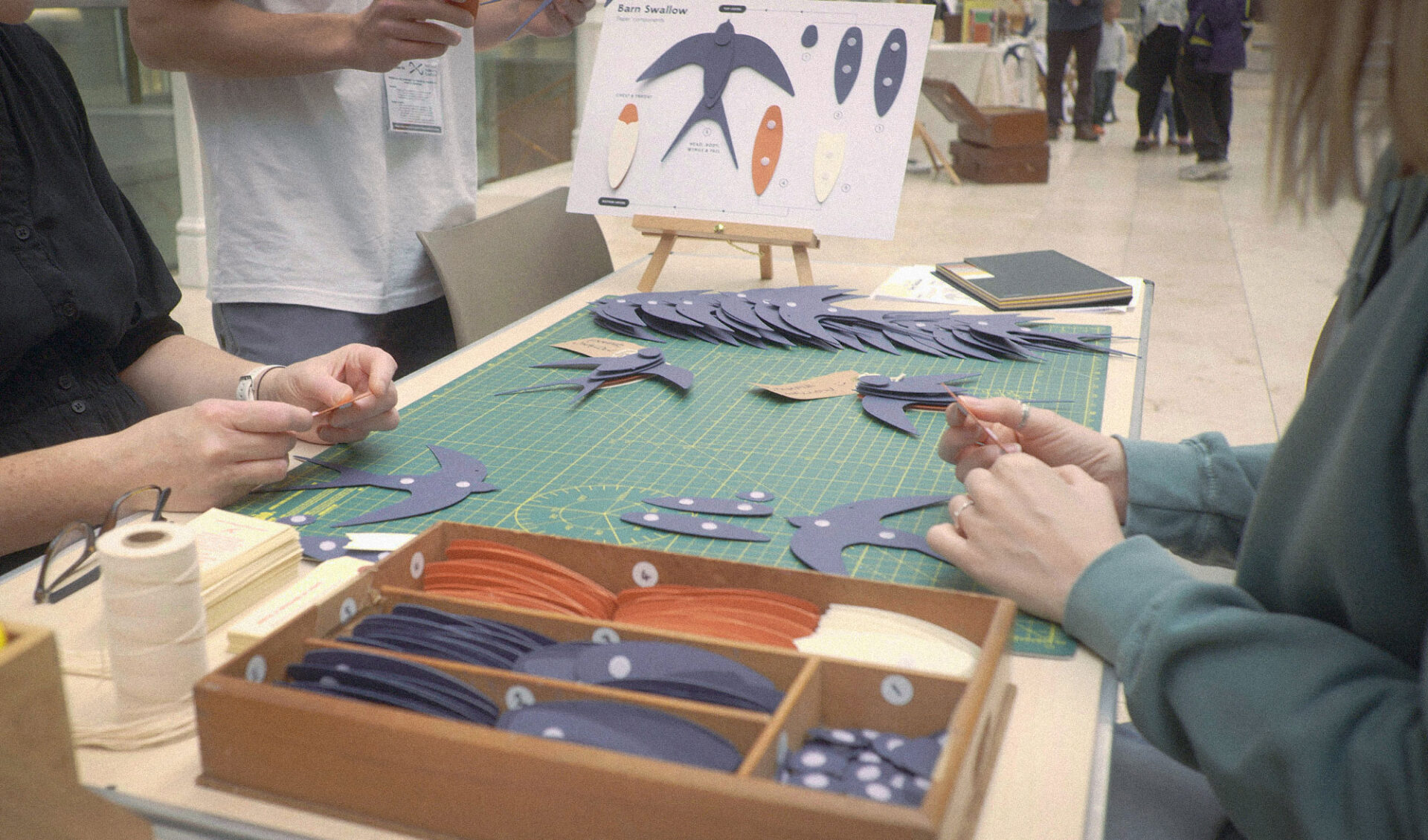 Participants sit down to craft paper Barn Swallows at the National Museum of Scotland.