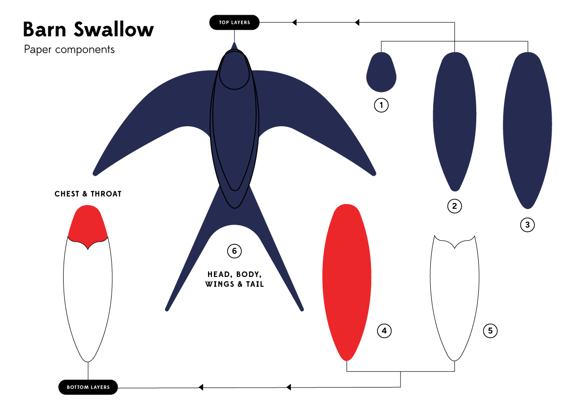 Instructions for assembling a paper barn swallow