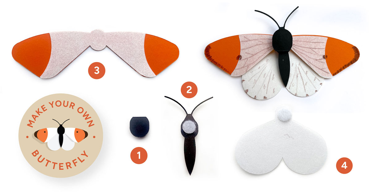 Paper components laid out for an orange-tip butterfly craft kit.