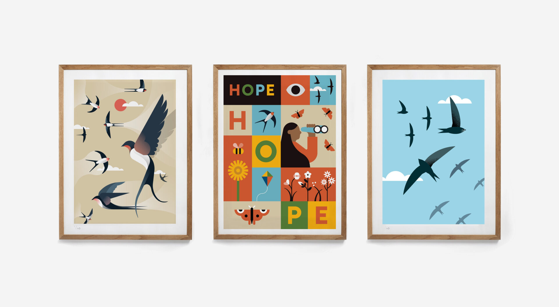 Three framed prints of barn swallows and swifts.